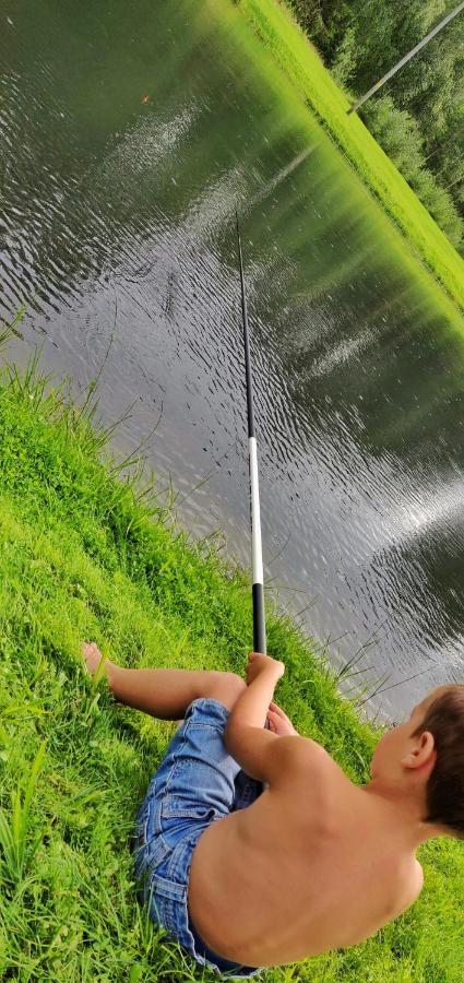 Hotel Orupohja Kaempingud Ja Telkimisala Põlva Exteriér fotografie